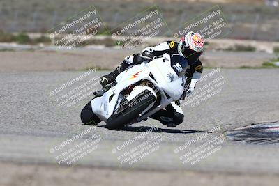 media/Mar-24-2025-2WTD (Mon) [[55b4b08488]]/B Group/220pm (Cotton Corners)/